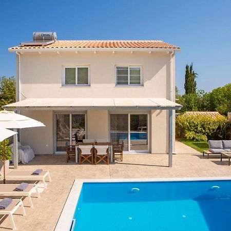 Grappolo Lefkada Villas - Vilana Ideal For Families And Small Groups Apolpaina エクステリア 写真