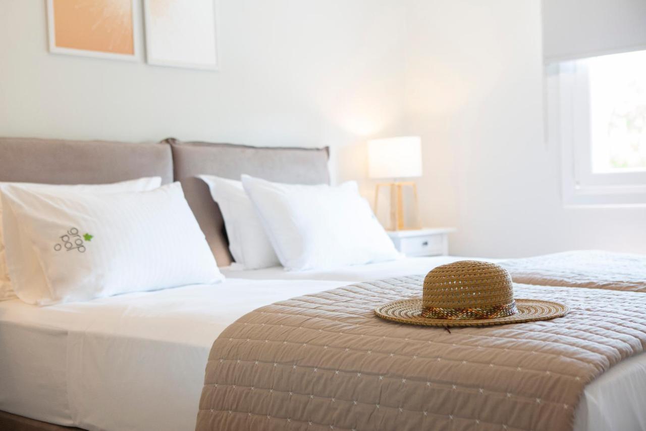Grappolo Lefkada Villas - Vilana Ideal For Families And Small Groups Apolpaina エクステリア 写真