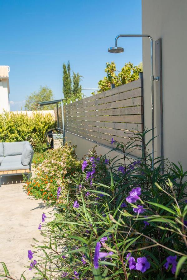 Grappolo Lefkada Villas - Vilana Ideal For Families And Small Groups Apolpaina エクステリア 写真